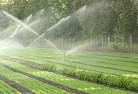 Harrismithlandscaping-irrigation-11.jpg; ?>